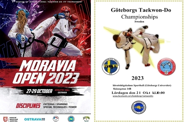 Og Lnopolska Organizacja Taekwon Do Itf